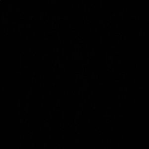 Meet your Posher, Avery